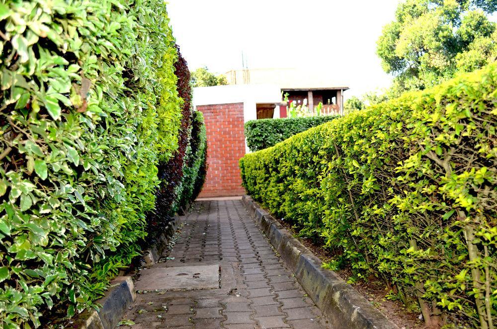 Areba Hotell Entebbe Exteriör bild